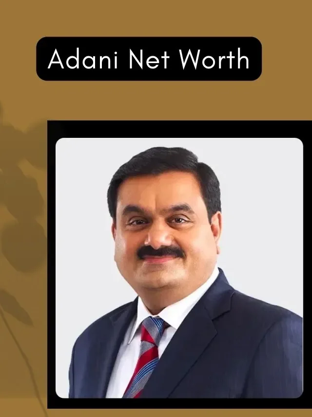 Adani Net Worth