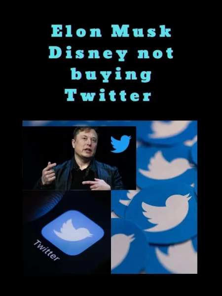 Elon Musk Disney not buying Twitter