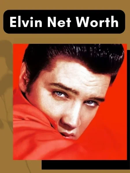 Elvis Net Worth