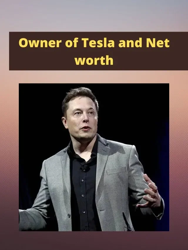 Owner of Tesla and Net worth