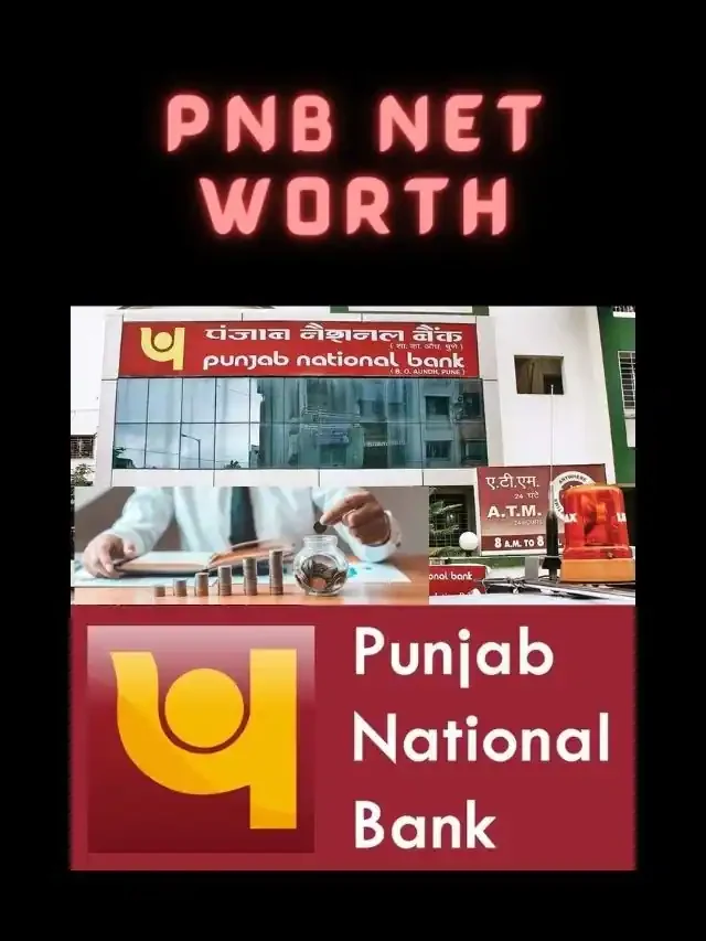 PNB Net Worth