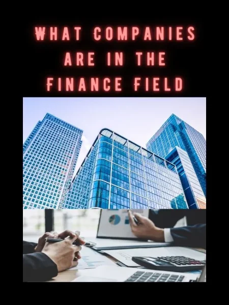 What Companies are in the Finance Field