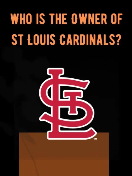 Who is the Owner of St Louis Cardinals?