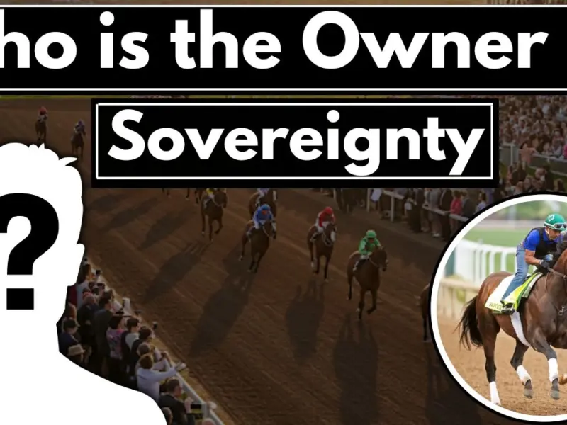 Who is the Owner of Sovereignty?