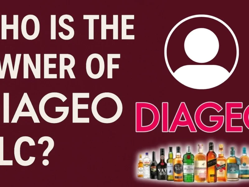 Who is the Owner of Diageo PLC?