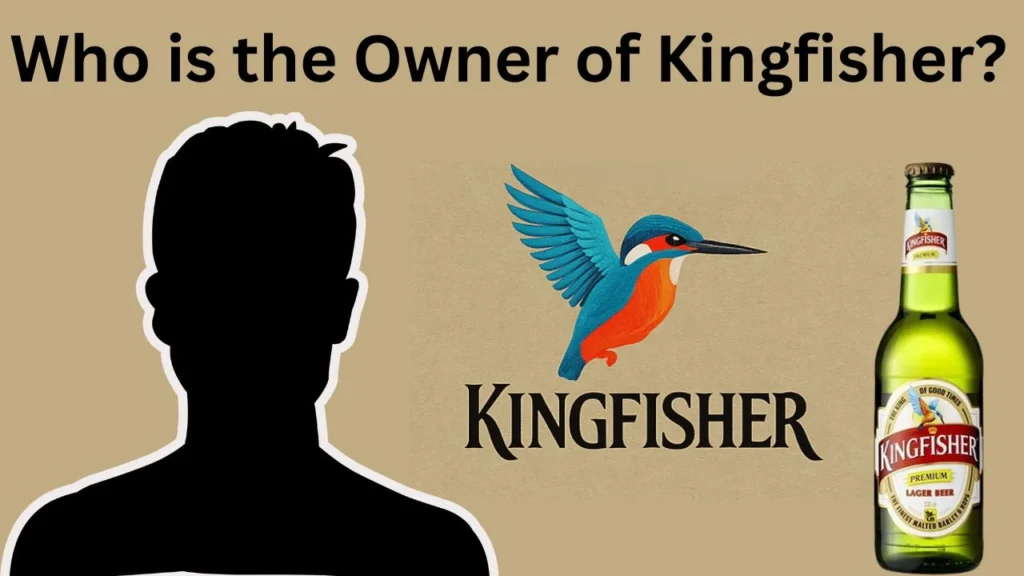 Who is the Owner of Kingfisher
