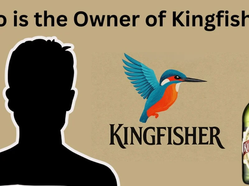 Who is the Owner of Kingfisher?