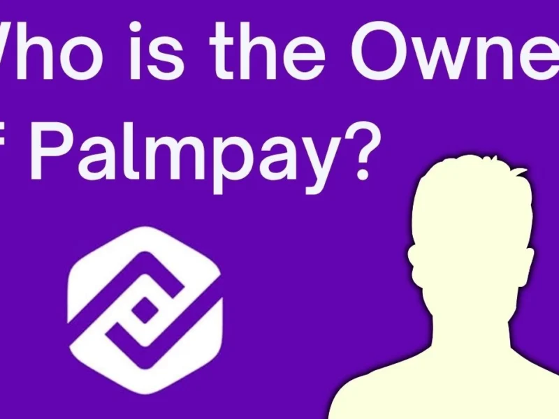 Who is the Owner of Palmpay?