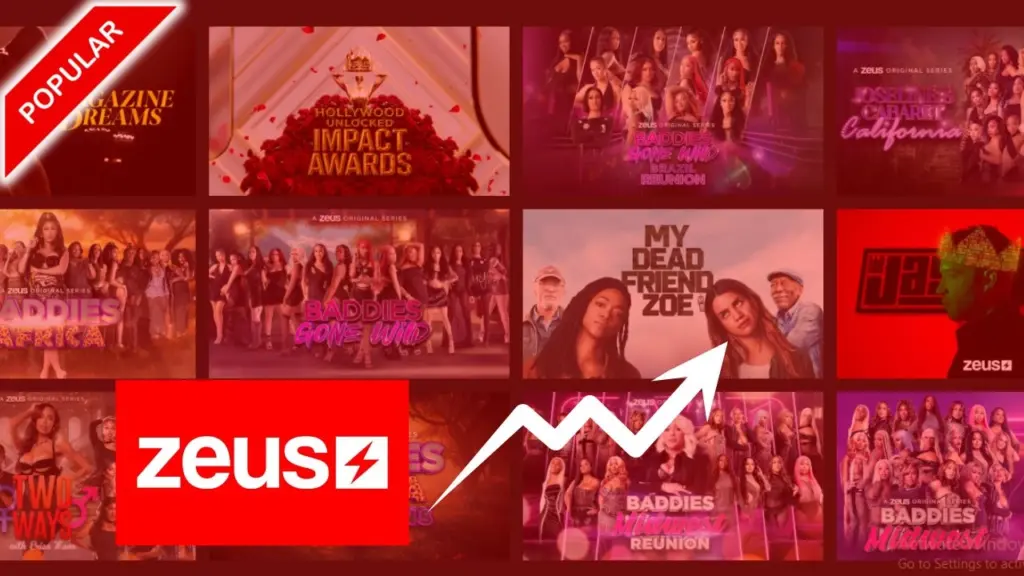 Content and Popularity of Zeus Network