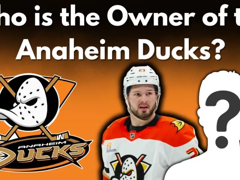 Who is the Owner of the Anaheim Ducks?