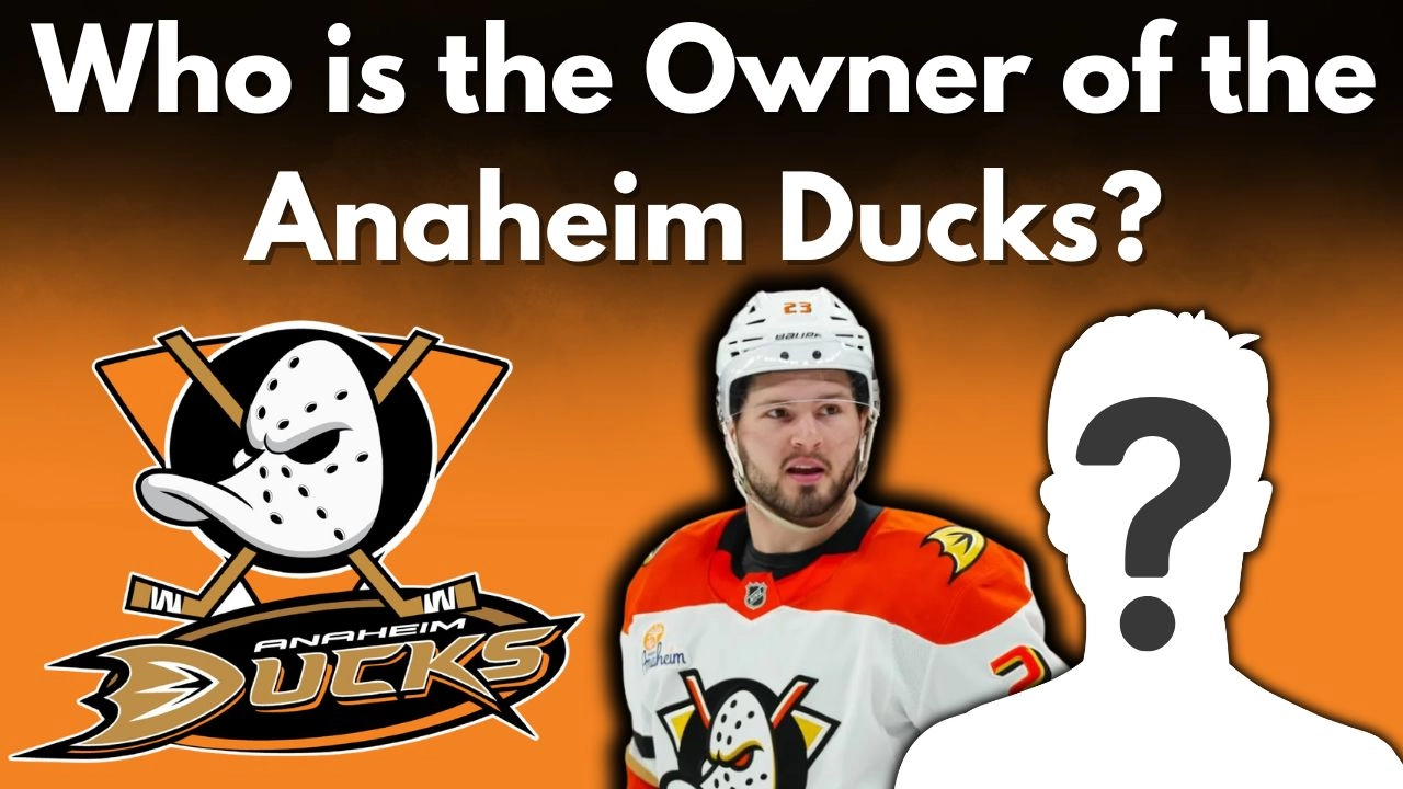 Who is the Owner of the Anaheim Ducks