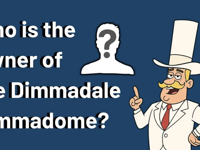 Who is the Owner of the Dimmsdale Dimmadome?