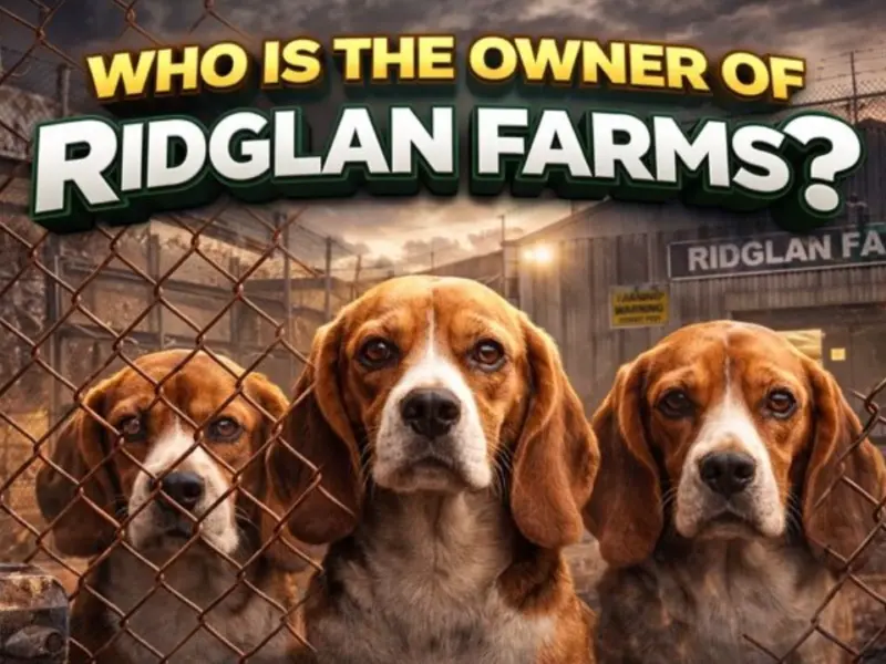 Who Owns Ridglan Farms? The Full Story Behind America’s Most Controversial Beagle Breeding Facility (2026)