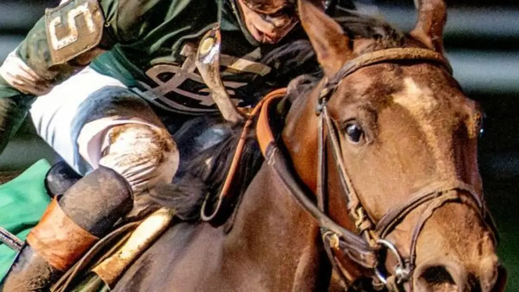 Golden Tempo, The Race Horse, 2026 Kentucky Derby Winner