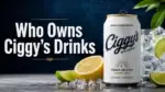 Who Owns Ciggy's Drinks The Full Story Behind the Buzzing New Vodka Seltzer Brand (2026)