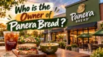 Who Owns Panera Bread The Complete Ownership Story (2026)Who Owns Panera Bread The Complete Ownership Story (2026)Who Owns Panera Bread The Complete Ownership Story (2026)